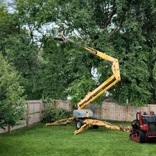 Best Sod Installation  in Harrisville, UT